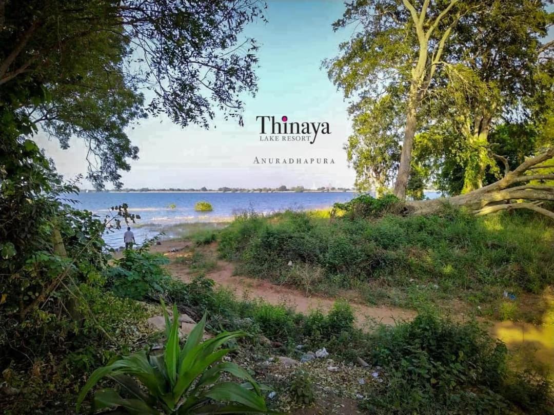 Thinaya Lake Resort Anuradhapura Eksteriør bilde